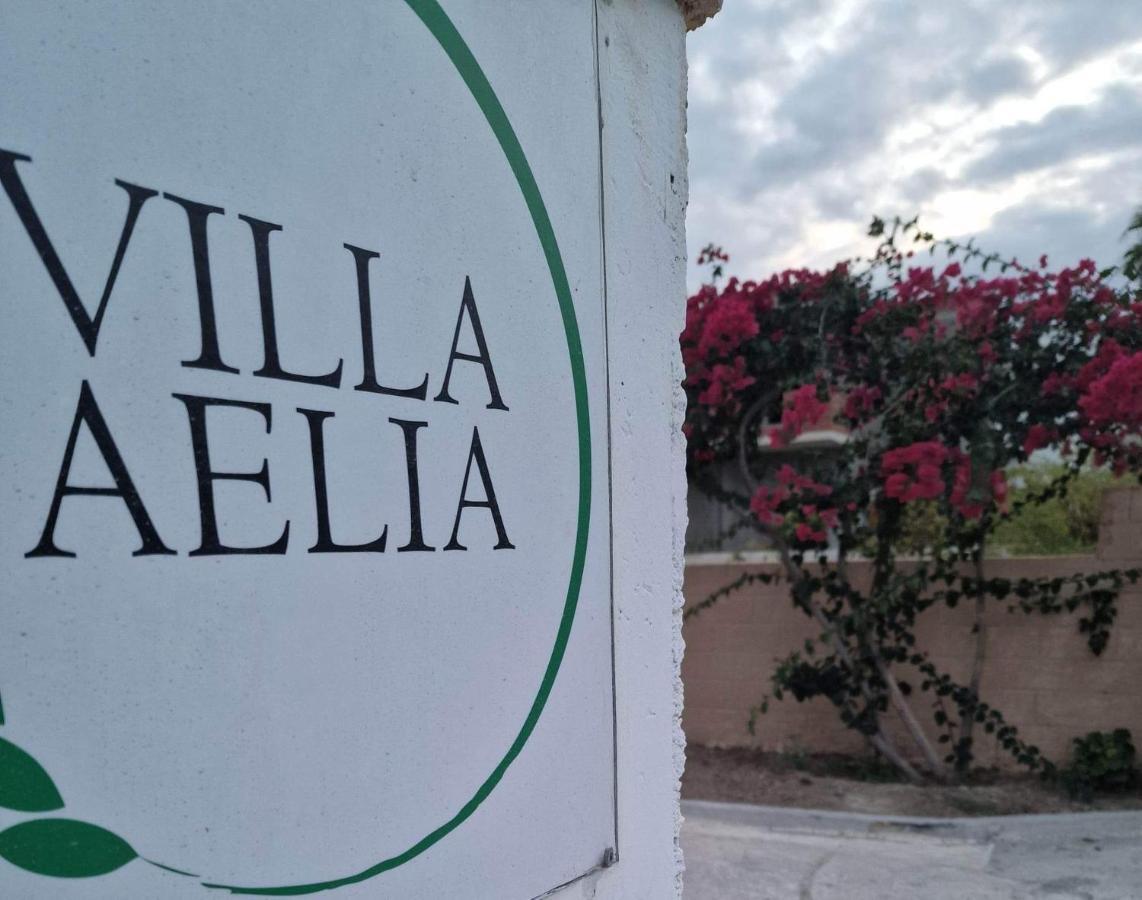 Aelia House Kefalos - Cozy & Quiet Zewnętrze zdjęcie
